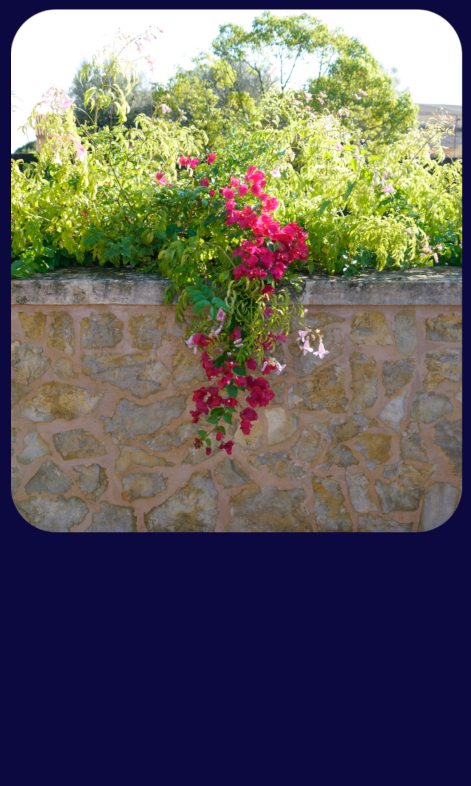 Mallorca Botanicatus